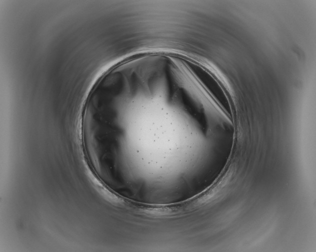 X0000111001388200907101442