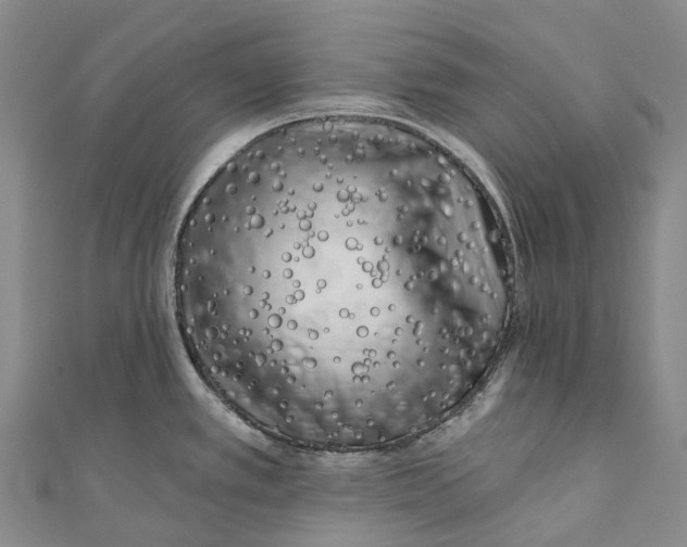 X0000111001389200907101442