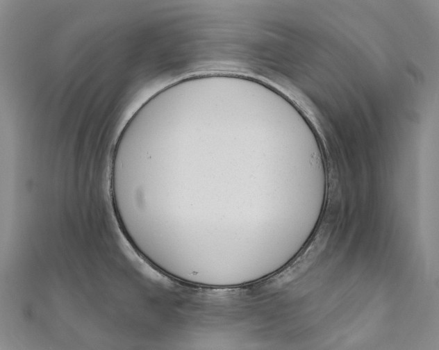 X0000111001390200907101442