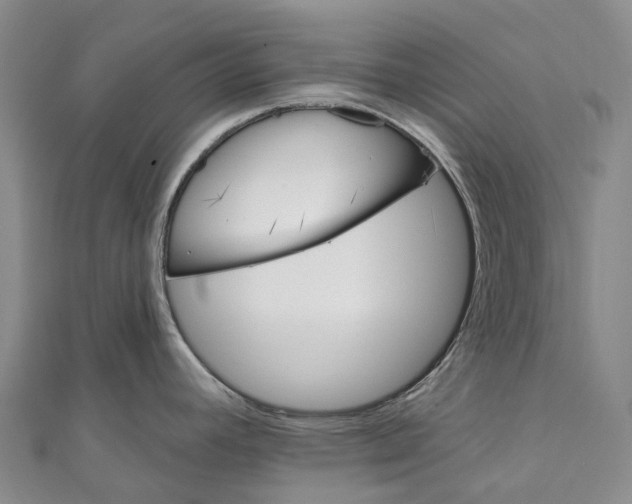 X0000111001392200907101442