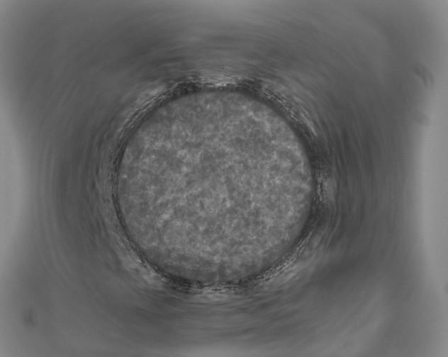 X0000111001393200907101442