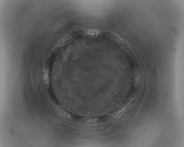 X0000111001394200907101442