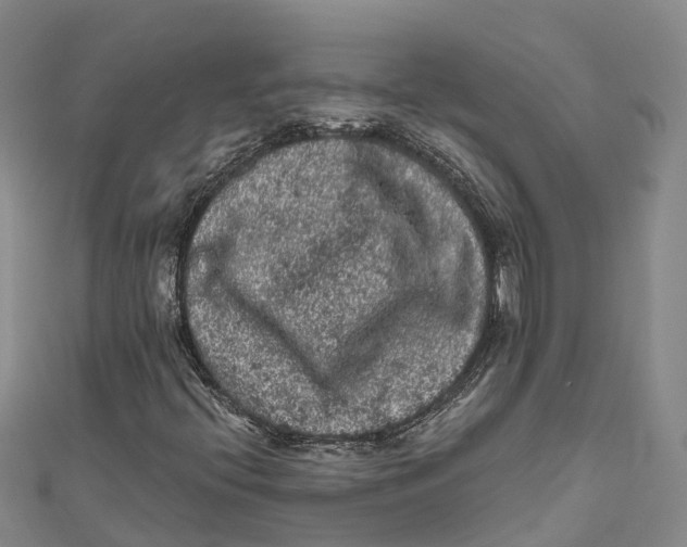 X0000111001396200907101442