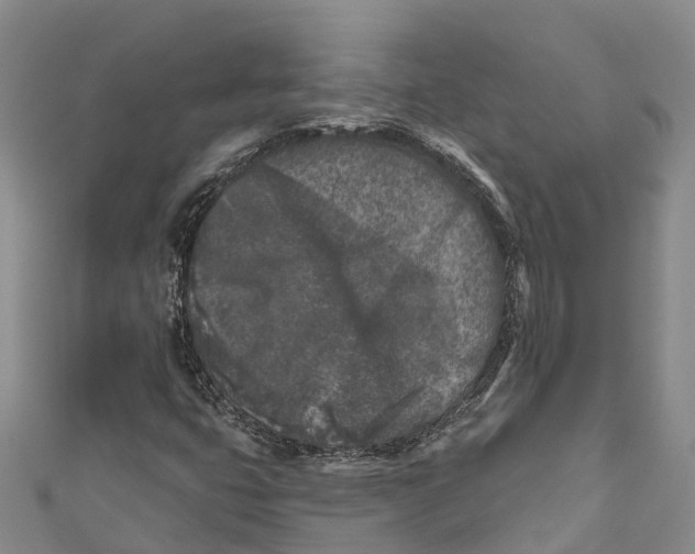 X0000111001399200907101442