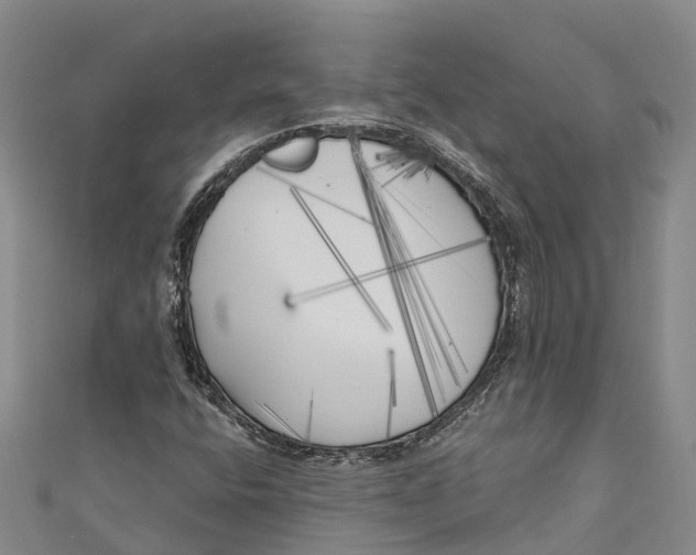 X0000111001400200907101442