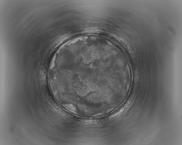 X0000111001401200907101442