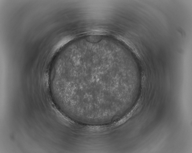 X0000111001402200907101442