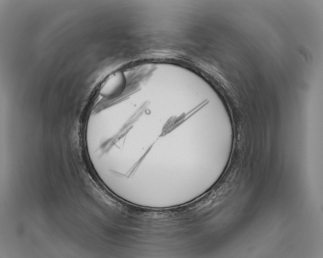 X0000111001404200907101442