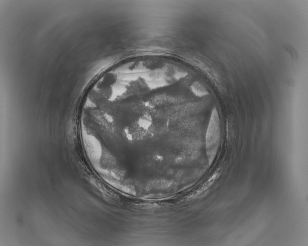 X0000111001405200907101442