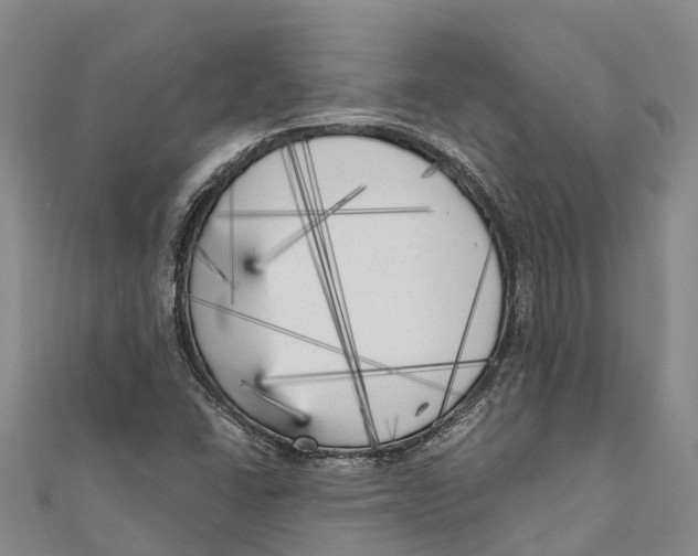 X0000111001406200907101442