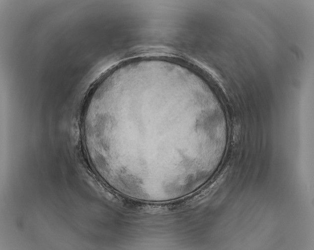 X0000111001407200907101442