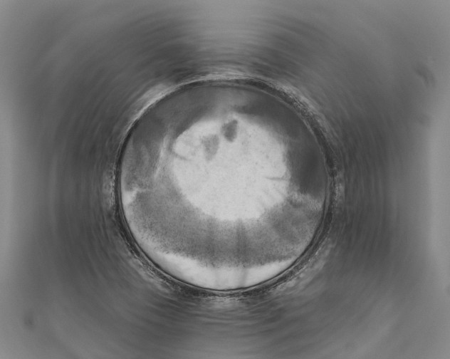 X0000111001409200907101442