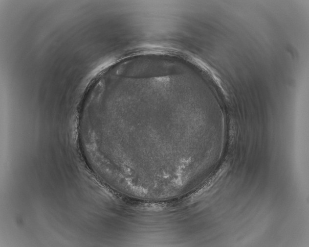 X0000111001411200907101442