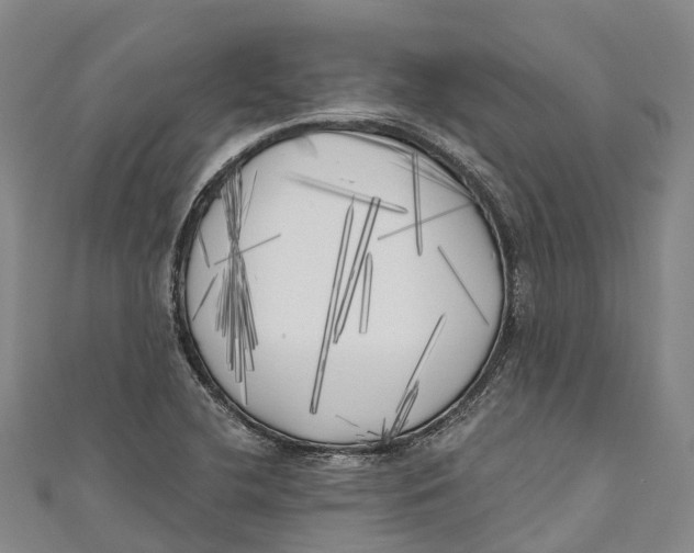 X0000111001412200907101442