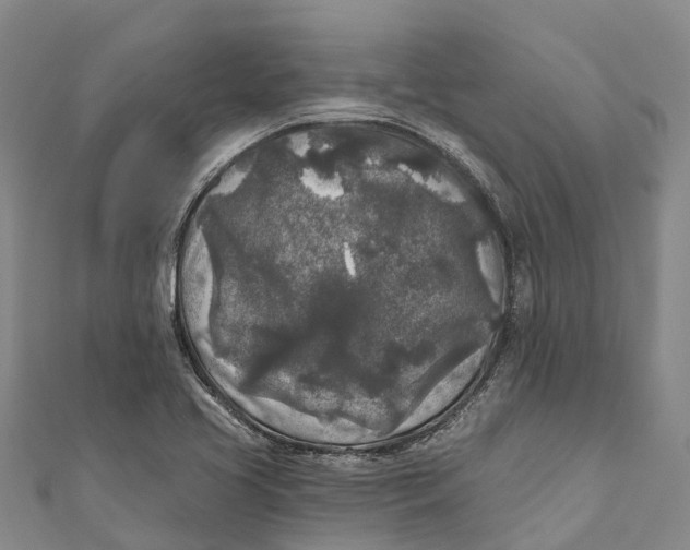 X0000111001413200907101442