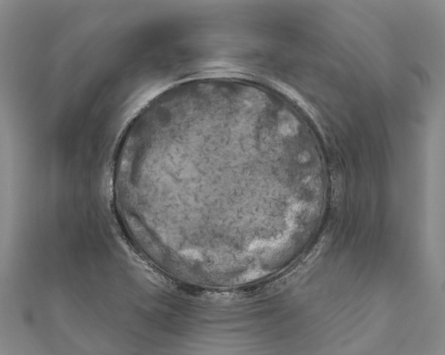 X0000111001415200907101442