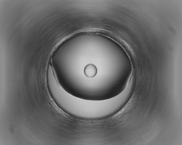 X0000111001417200907101442