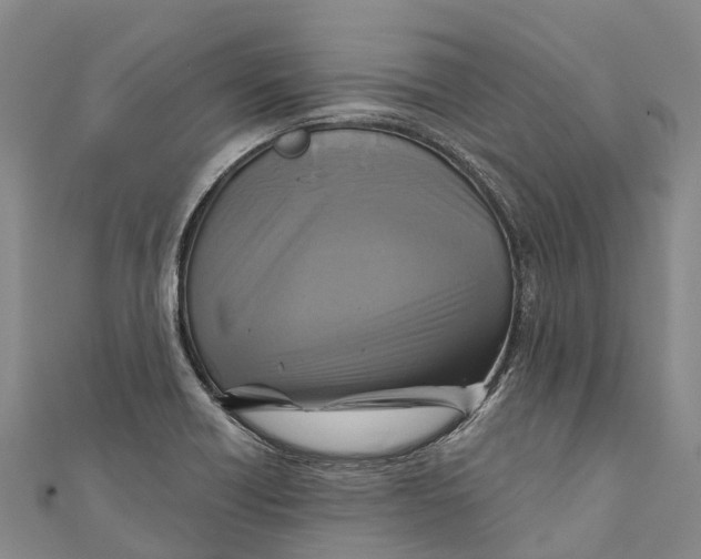 X0000111001418200907101442