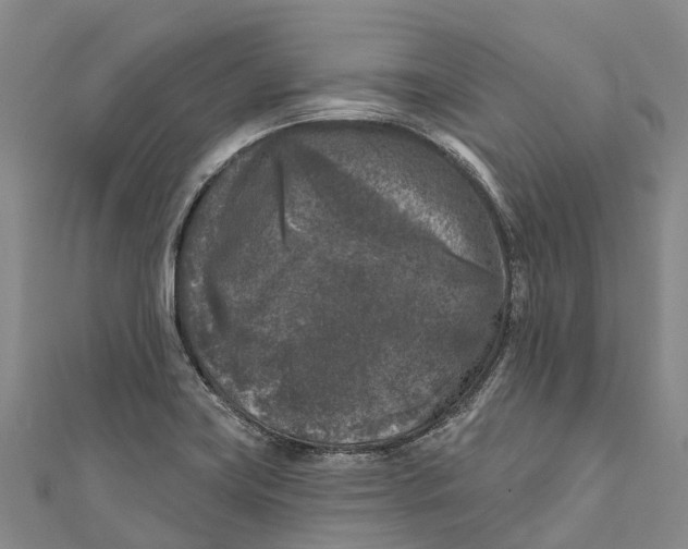 X0000111001419200907101442