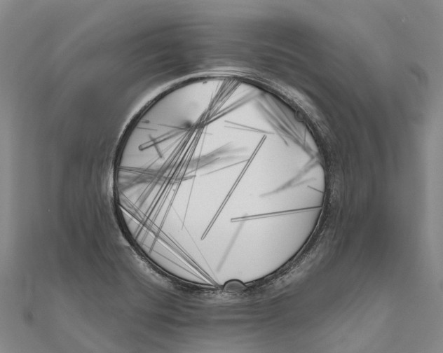 X0000111001420200907101442