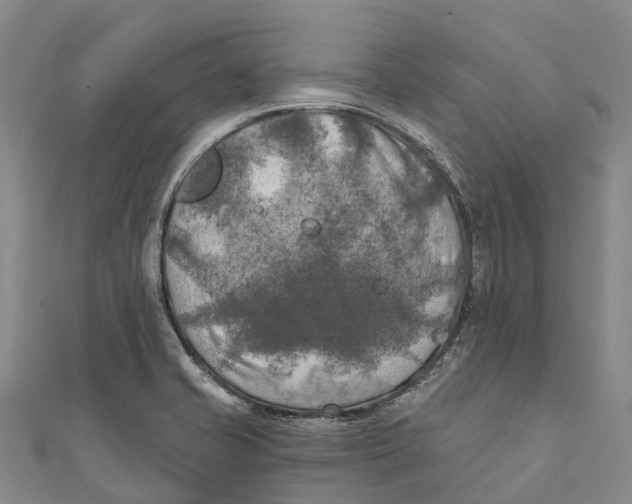 X0000111001421200907101442