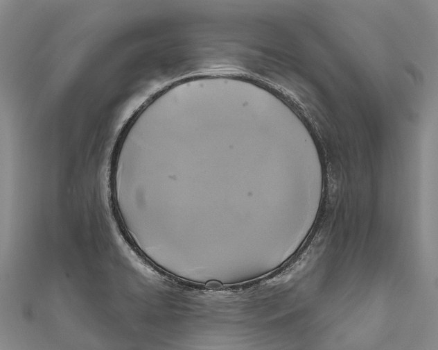 X0000111001422200907101442