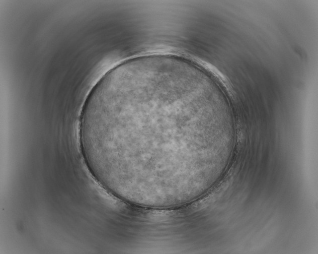 X0000111001423200907101442