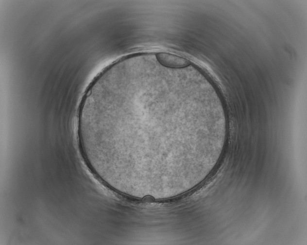 X0000111001424200907101442