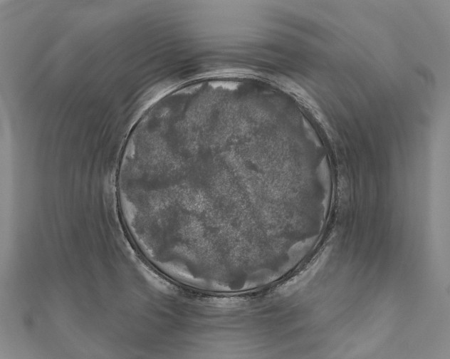 X0000111001425200907101442