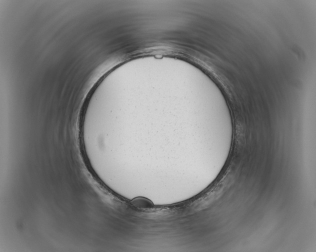 X0000111001426200907101442