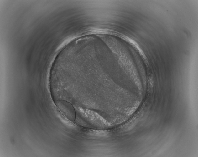 X0000111001427200907101442