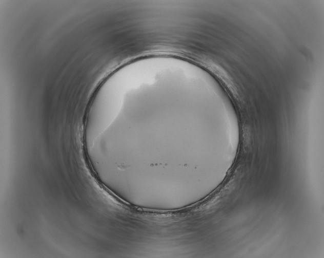 X0000111001428200907101442