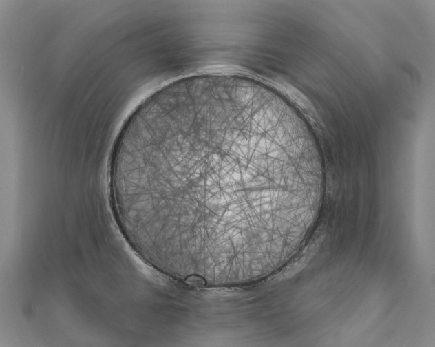 X0000111001430200907101442