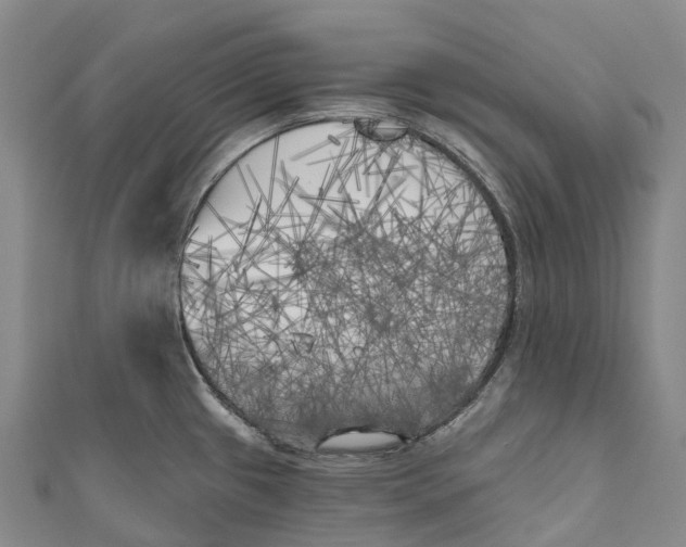 X0000111001433200907101442