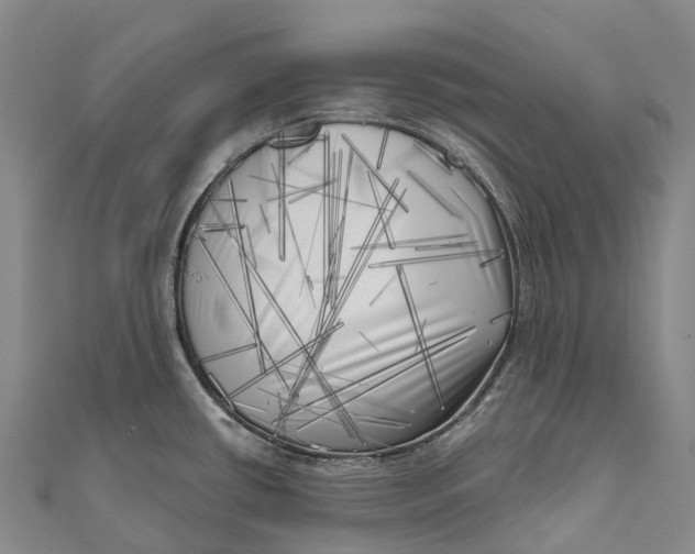 X0000111001434200907101442