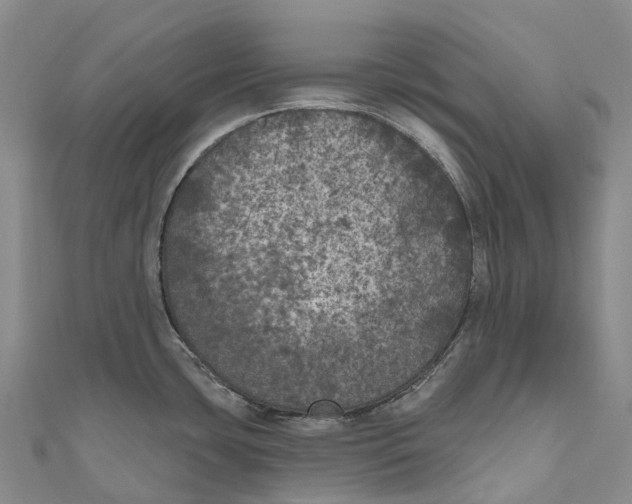 X0000111001435200907101442