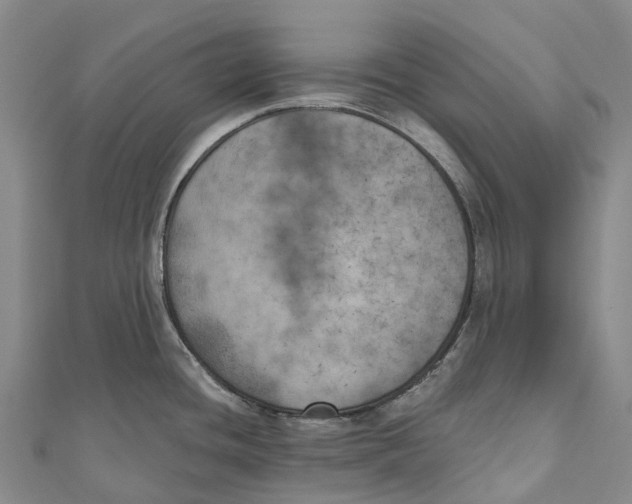 X0000111001436200907101442