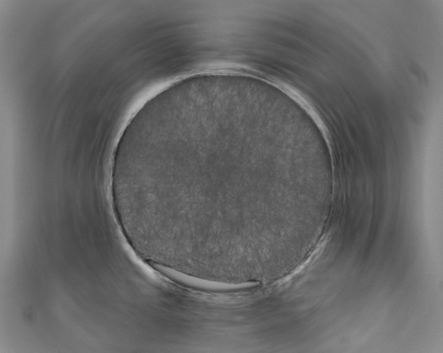 X0000111001437200907101442