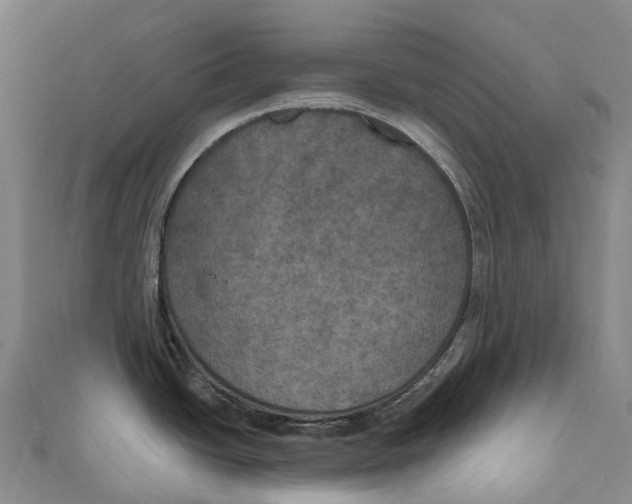 X0000111001438200907101442