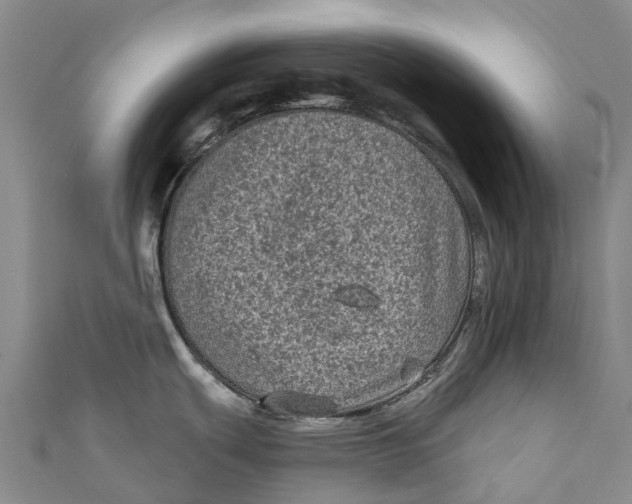 X0000111001439200907101442