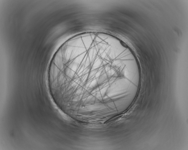 X0000111001440200907101442