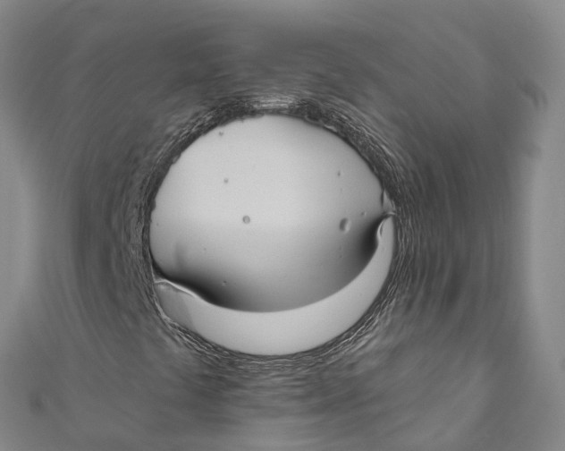 X0000111001441200907101442