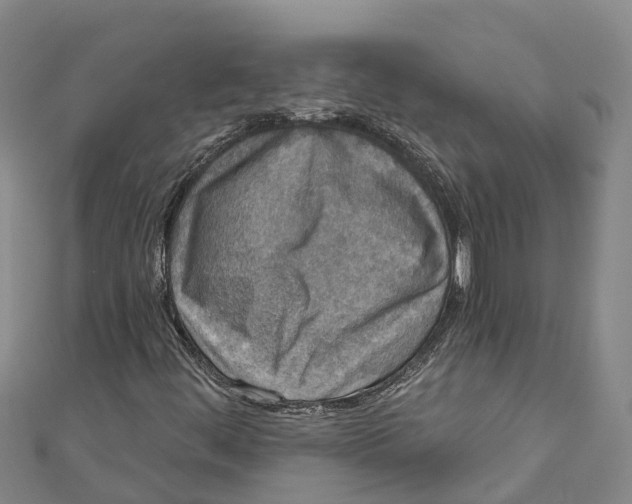 X0000111001444200907101442