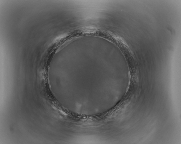 X0000111001445200907101442