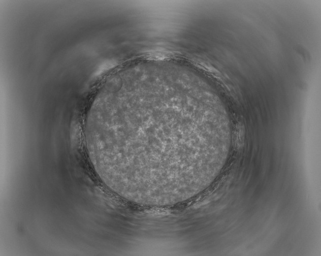 X0000111001446200907101442