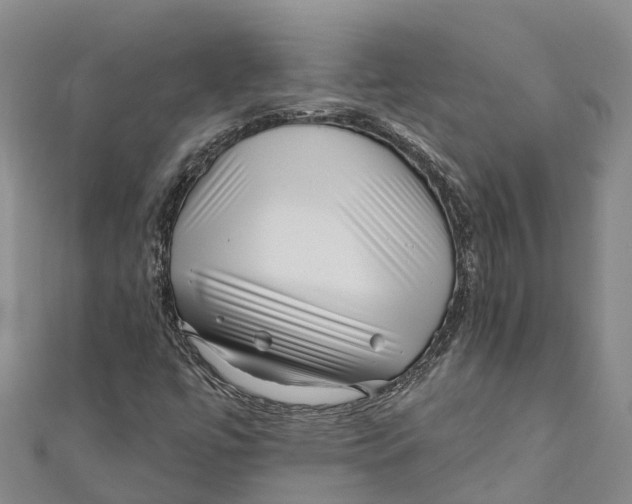 X0000111001447200907101442