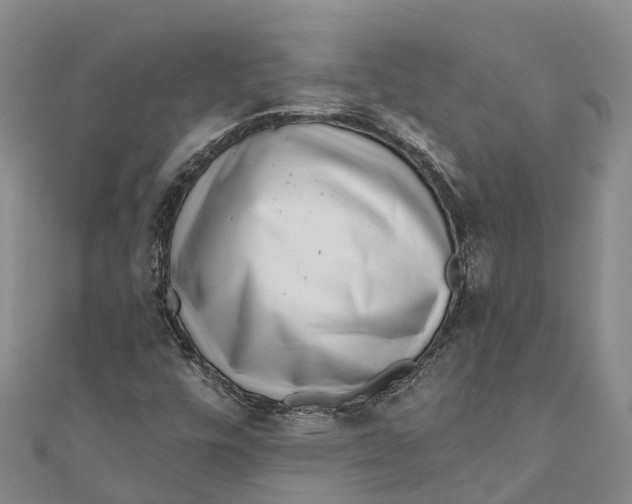 X0000111001448200907101442