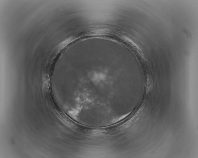 X0000111001449200907101442