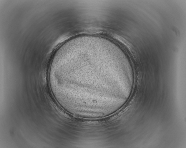 X0000111001451200907101442