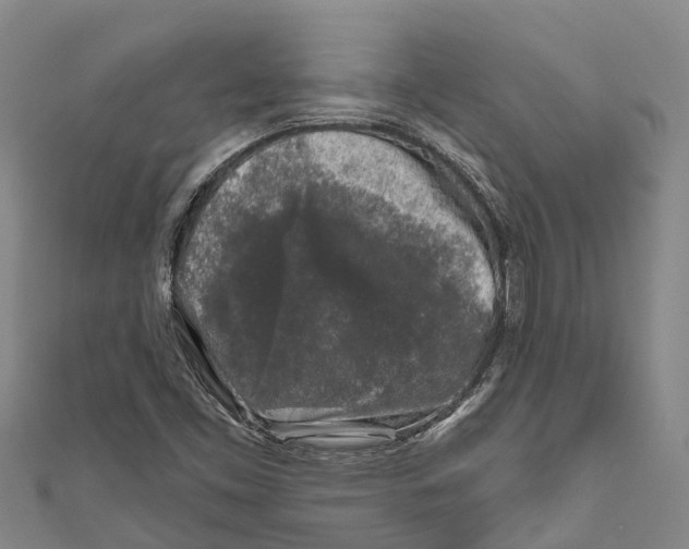 X0000111001453200907101442